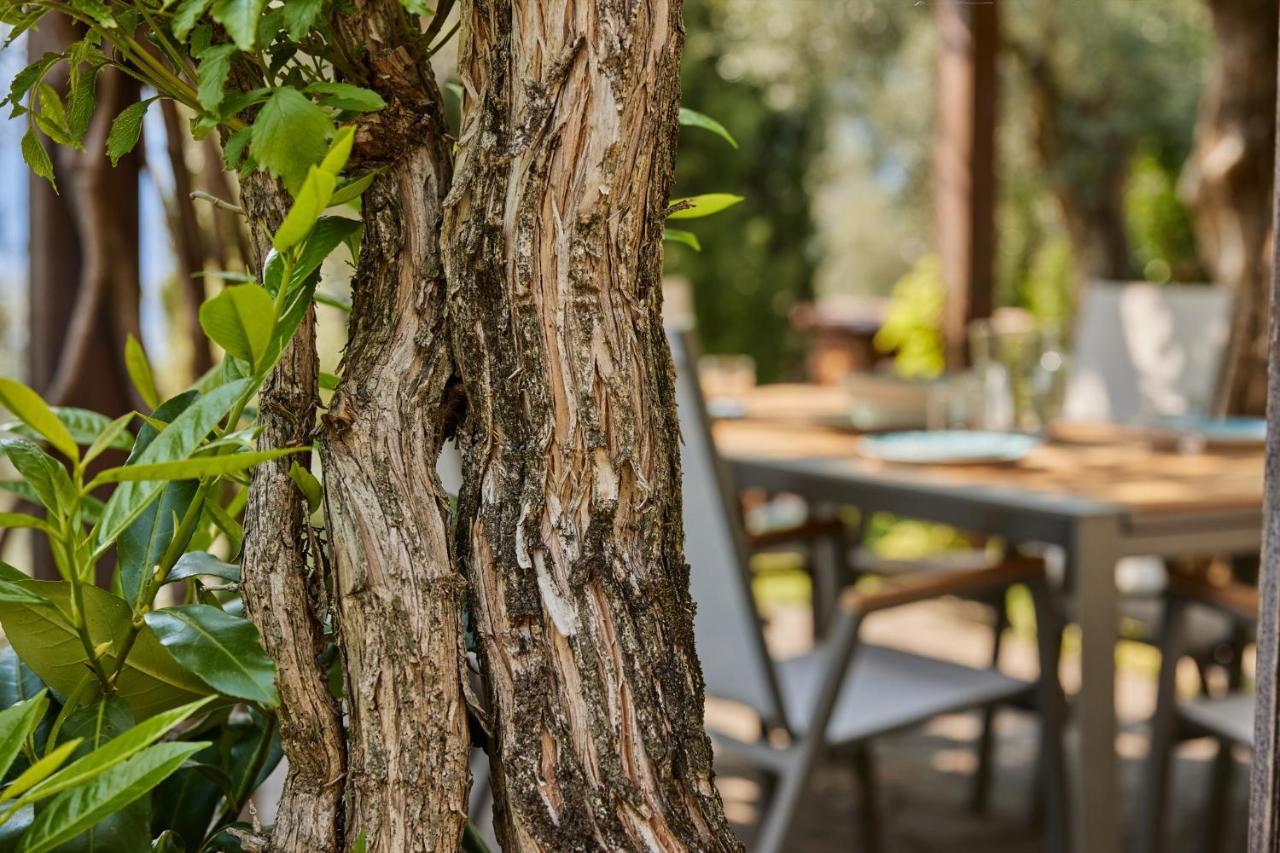 Villa Paier Relais & Pool Malcesine Exterior foto